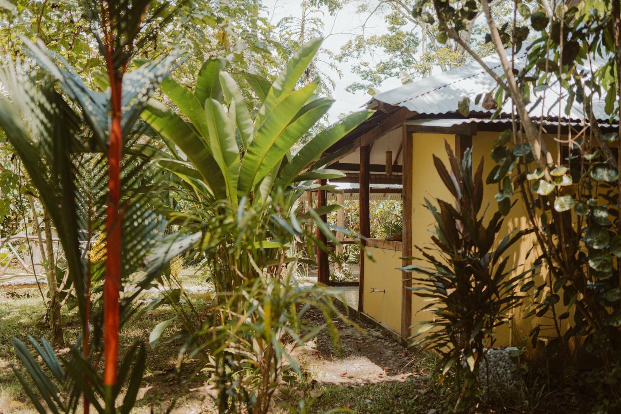 Casa De Los Amigos Caribena Кахуита Екстериор снимка
