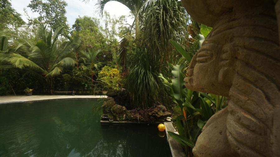 Casa De Los Amigos Caribena Кахуита Екстериор снимка