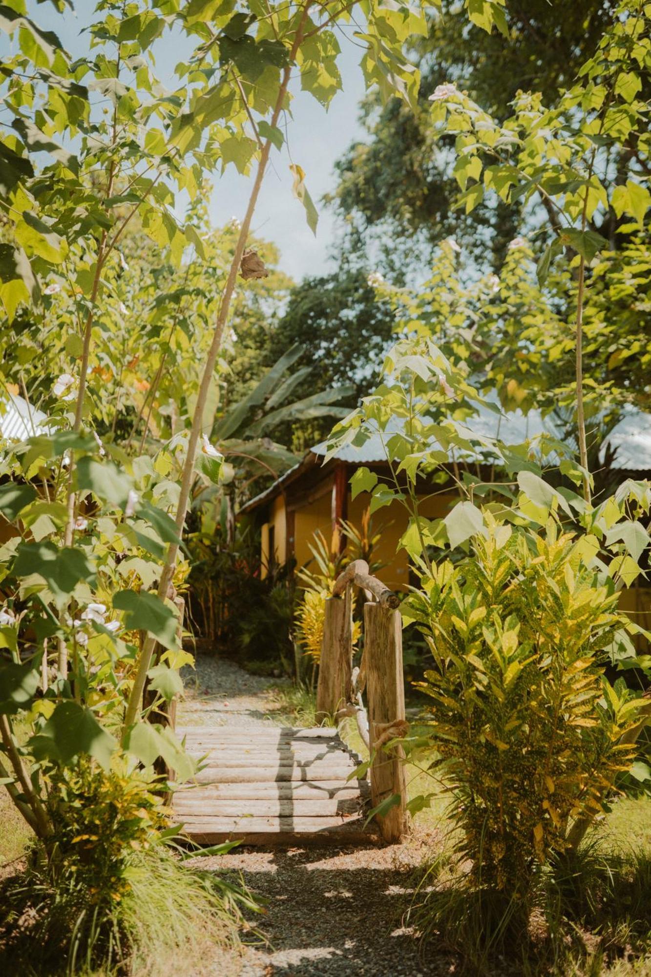 Casa De Los Amigos Caribena Кахуита Екстериор снимка